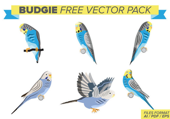 Budgie Free Vector Pack - vector #394151 gratis