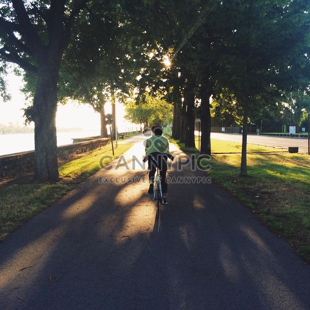 Man riding bicycle in park - бесплатный image #394821