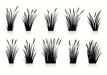 Free Cattails Silhouette Vectors - Free vector #396101