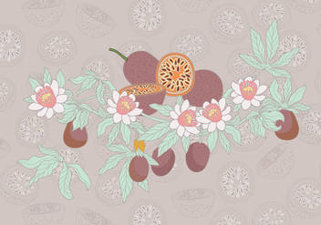 Passion Fruit Simple Vector - Free vector #397391