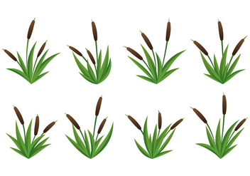 Set Of Cattails Vector - Free vector #399171