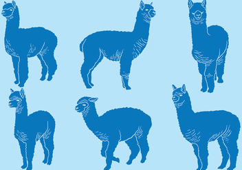 Free Alpaca Icons Vector - vector gratuit #403031 