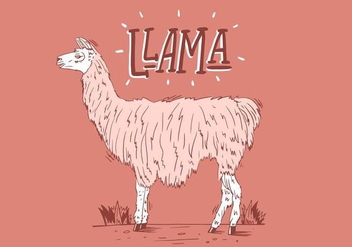 Free Llama Background - Kostenloses vector #403581