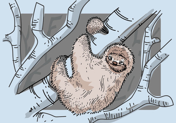 Free Sloth Vector Illustration - Free vector #405391