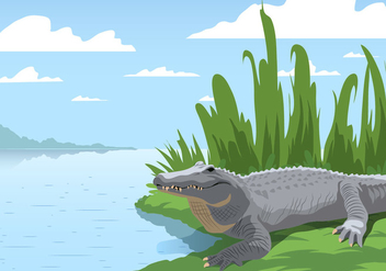 Gator At The Swamp - Free vector #407711