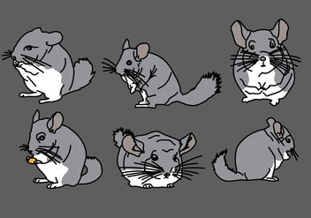 Chinchilla Vector Pack 1 - Free vector #408851