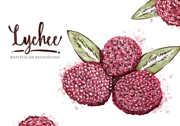 Free Lychee Background - Kostenloses vector #410061