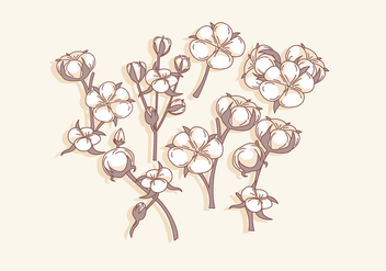 Cotton Flower Simple Vector - бесплатный vector #412881