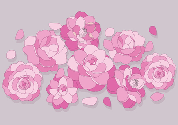Camellia Flowers Vector - vector #417471 gratis