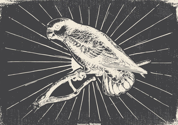 Vintage Bird Illustration - vector gratuit #418121 