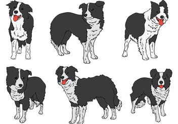 Free Border Collie Icons Vector - Free vector #418691