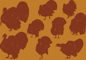 Turkeys Silhouettes - бесплатный vector #419321