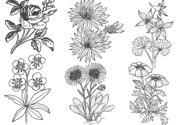 Vintage Flowers Collection - Free vector #422191