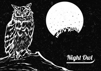 Hand Drawn Of Black And White Owl With The Moon - Kostenloses vector #424311