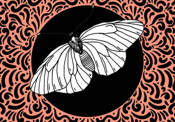 Ornate Moth Design - vector #428031 gratis