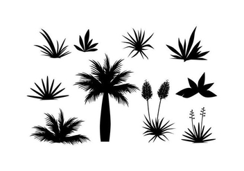 Free Tropical Plant And Grass In Silhouette Vector - vector #430041 gratis