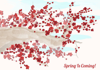 Sakura In Watercolor Illustration - Free vector #430511