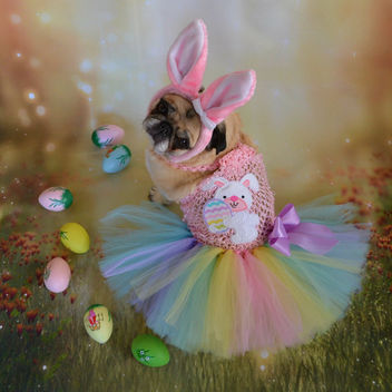 My Easter Bunny Bailey Puggins - image gratuit #432391 