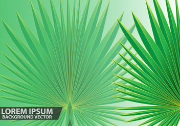 Palm Leaves Background Vector - vector gratuit #433271 