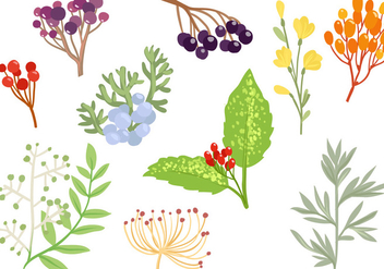 Free Decorative Herbs Vectors - бесплатный vector #434781