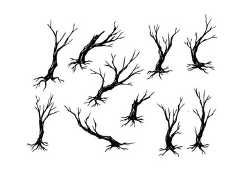 Free Tree Silhouette Vector - Free vector #435041