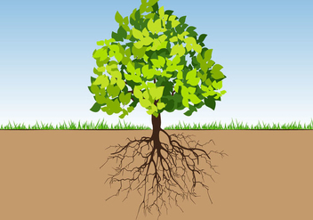 Tree with Roots and Leafs colorfull - vector #435071 gratis