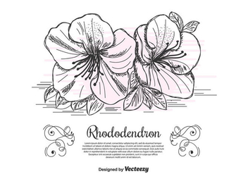 Rhododendron Vector Background - бесплатный vector #435141