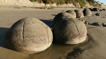 Moeraki boulders. Otago. NZ - Free image #435171
