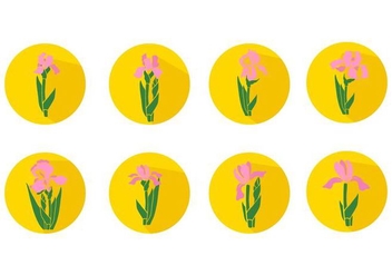 Free Iris Flower Icons Vector - vector gratuit #436031 