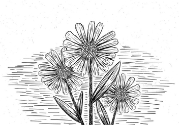 Free Hand Drawn Vector Flower Illustration - vector gratuit #436521 