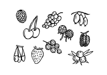 Free Berries Hand Drawn Icon Vector - vector #436621 gratis