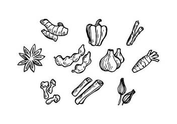 Free Herbal Spice Icon Vector - Free vector #437401