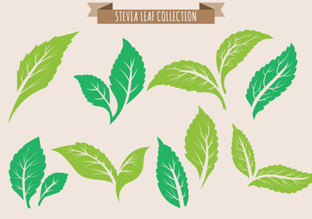 Stevia Leaf Collection - vector #438211 gratis