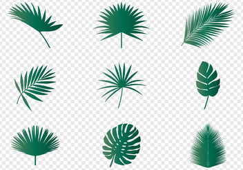 Palm Leaves - бесплатный vector #438411