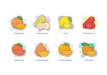 Free Citrus Family Icons - vector gratuit #440101 