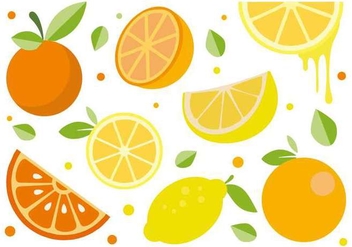 Free Citrus Fruit Vector - vector gratuit #441431 