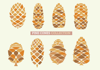 Set of Close Up of Pine Cones with handdraw - Free vector #441951
