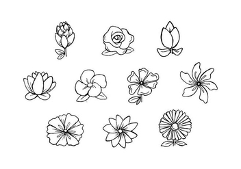 Free Flowers Hand Drawn Vector - Free vector #442741