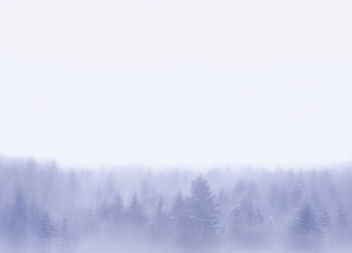 Winter is coming - бесплатный image #445381