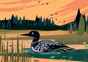 Loon Swimming In Lake Vector Background Illustration - Free vector #445411
