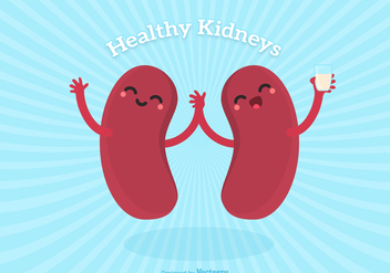 Vector Cute Cartoon Healthy Human Kidney Characters - vector gratuit #445721 
