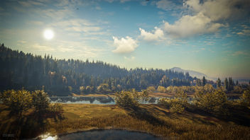 TheHunter: Call of the Wild / Welcome to Sunny Lake - image gratuit #447681 