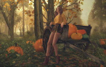 Style - Fall Is In The Air - image gratuit #448811 