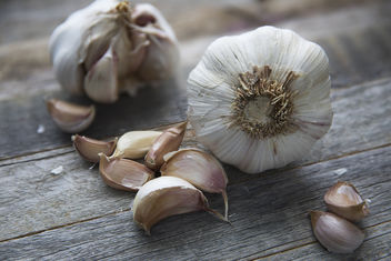 Garlic - Kostenloses image #449351