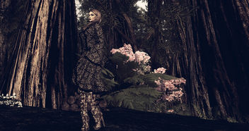LOTD 66: Autumn Forest (free gifts) - image gratuit #449721 