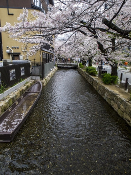 Kamo River in Kyoto Prefecture, Japan - бесплатный image #450551