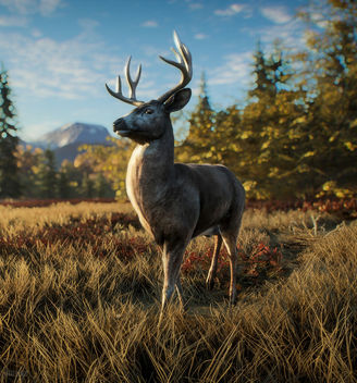 TheHunter: Call of the Wild / David the Deer is Curious - image gratuit #450581 