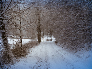 Cold as winter - image gratuit #450651 