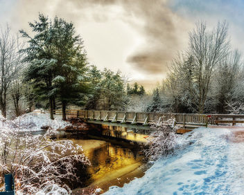Irishtown Nature Park Christmas - бесплатный image #450891