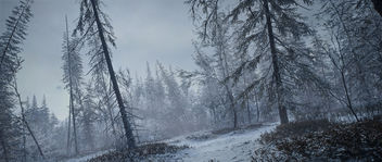 TheHunter: Call of the Wild / Its Getting Misty - image gratuit #451581 